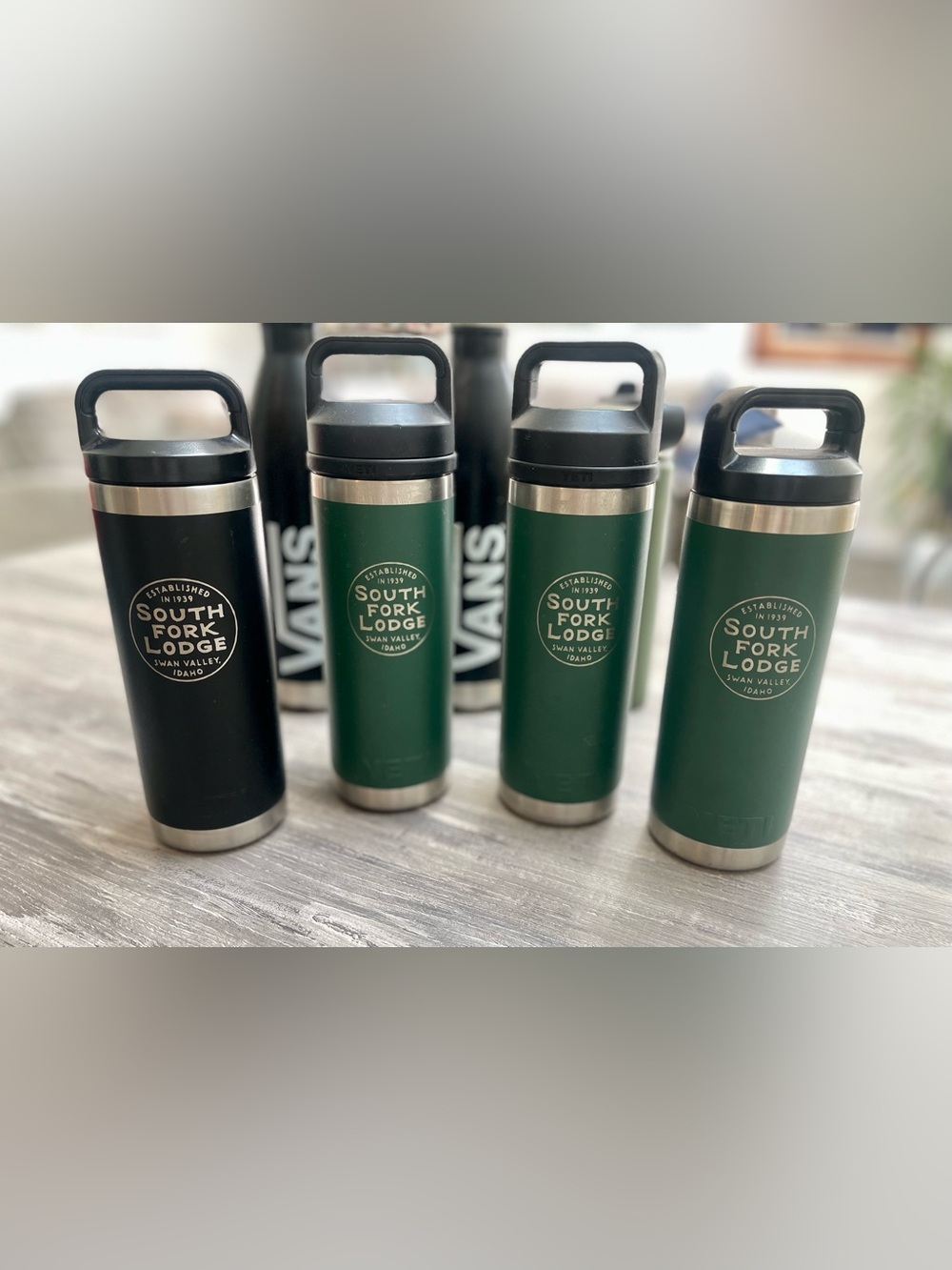 6 Stainless Steel and Glass Insulated Travel Bottles with Handles: Bundle